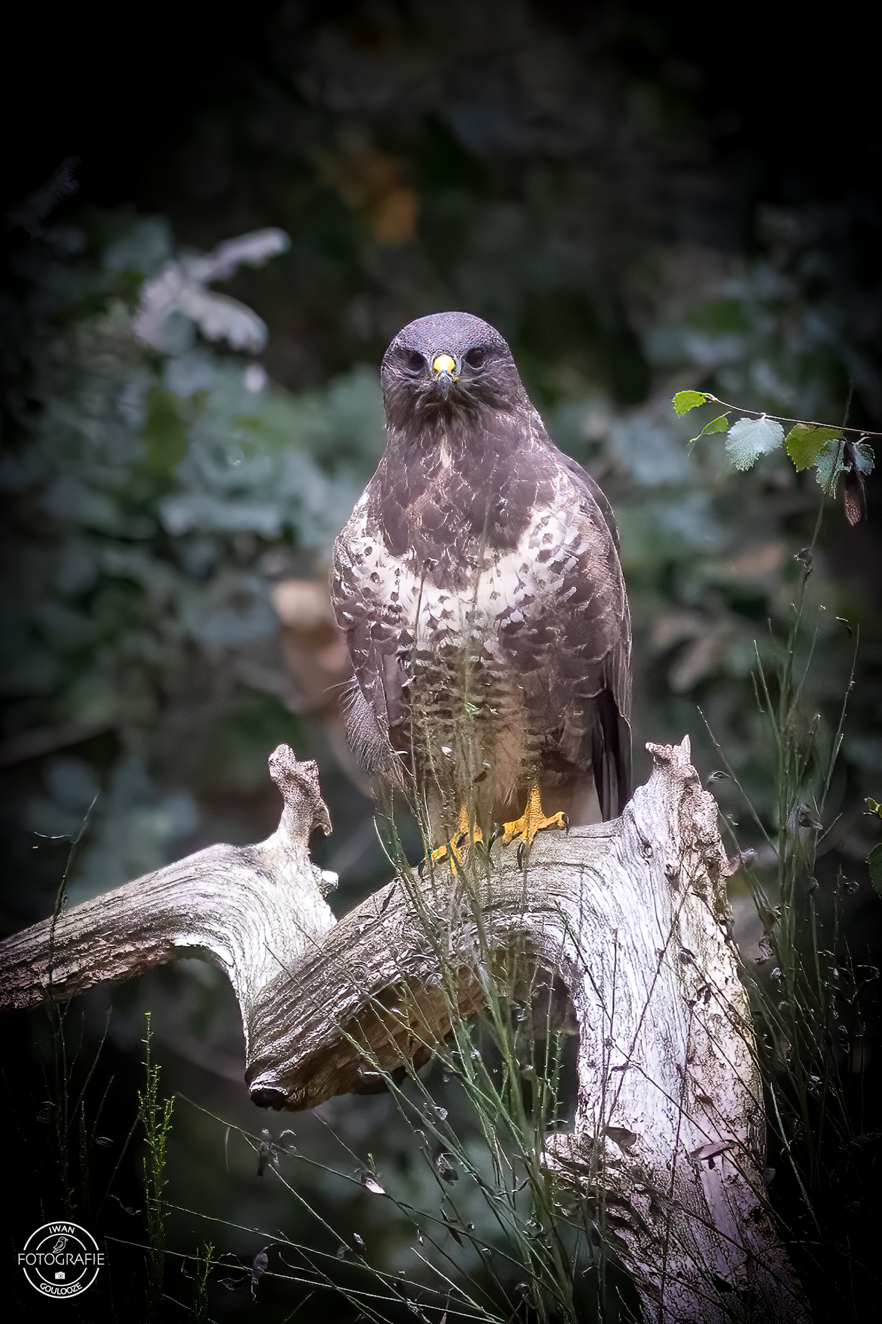 23 oktober 2022 133506 1R2A0937 bewerkt bewerkt